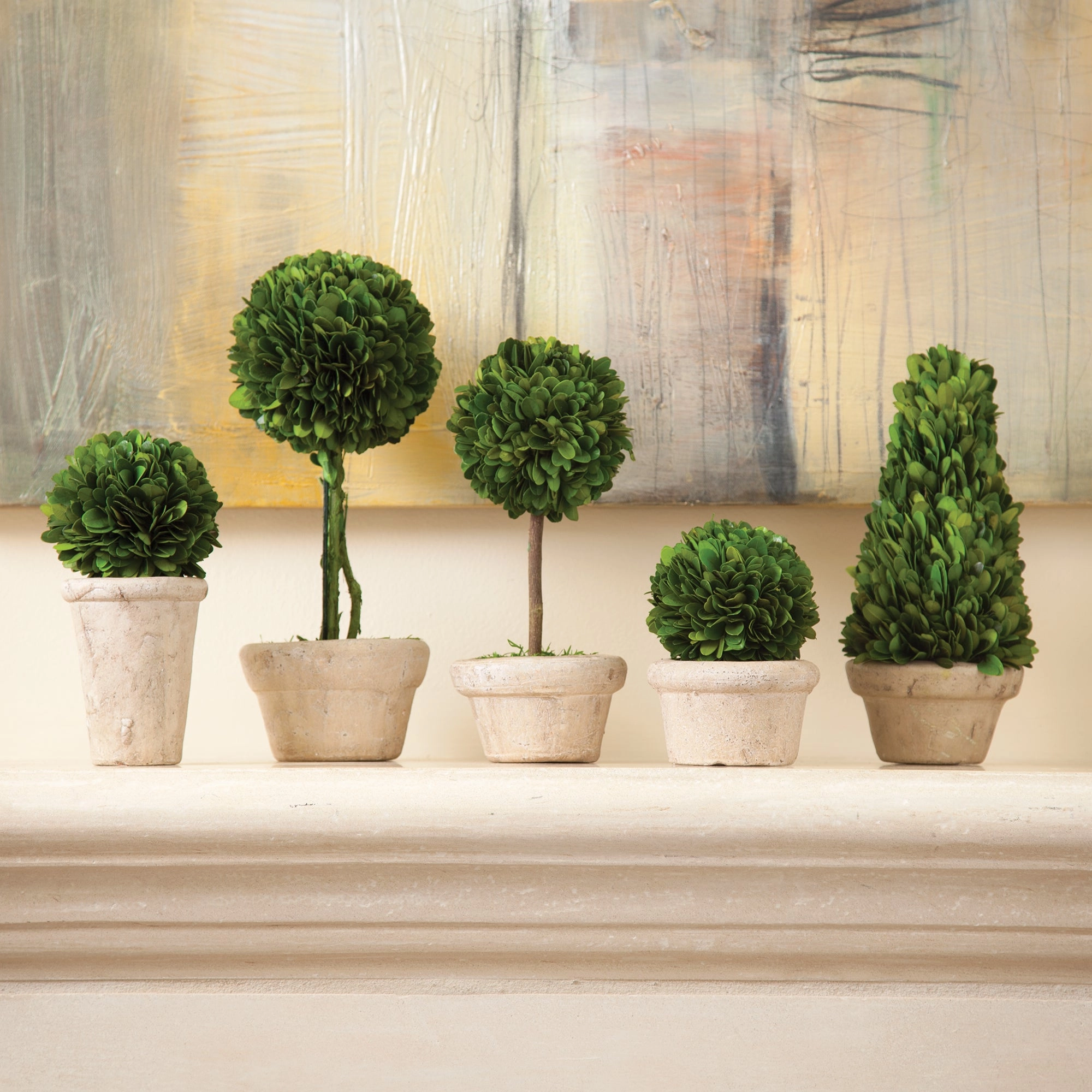 Set of Five Boxwood Topiaries in Pots