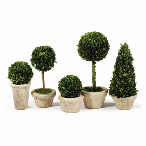 Set of Five Boxwood Topiaries in Pots home display ornament