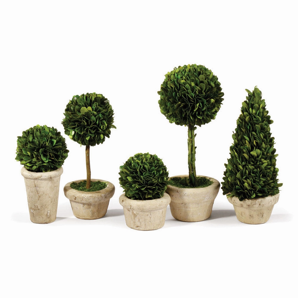 Set of Five Boxwood Topiaries in Pots home display ornament