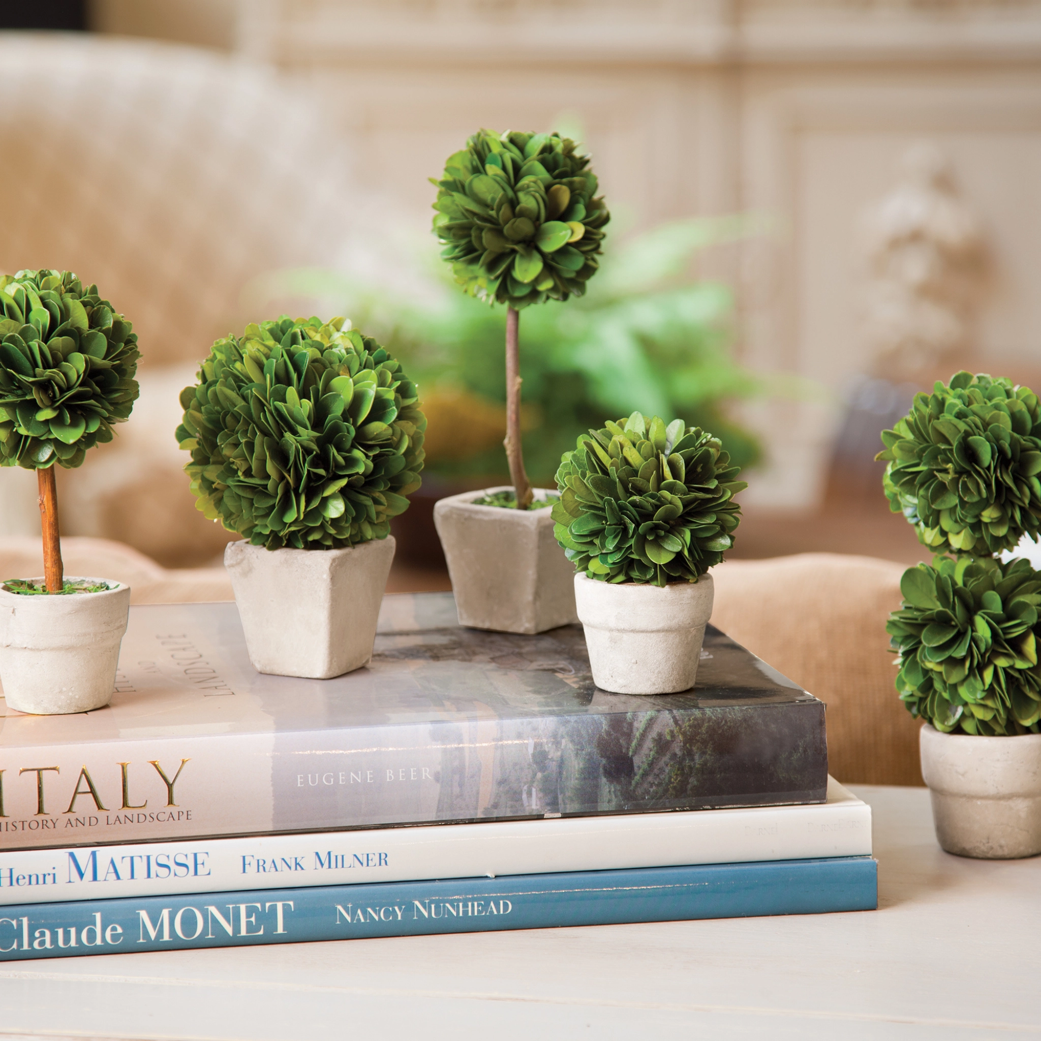 Set of Five Mini Boxwood Topiaries in Pots