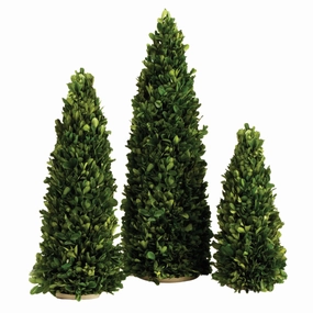 Set of Three Boxwood Mini Trees home display ornament