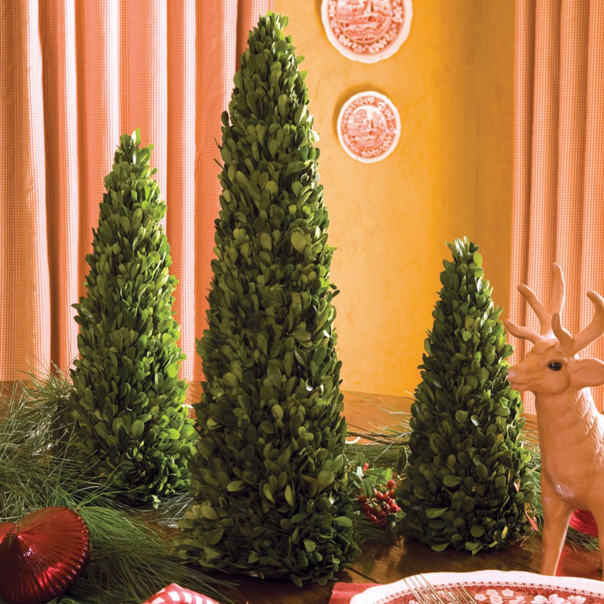 Set of Three Boxwood Mini Trees
