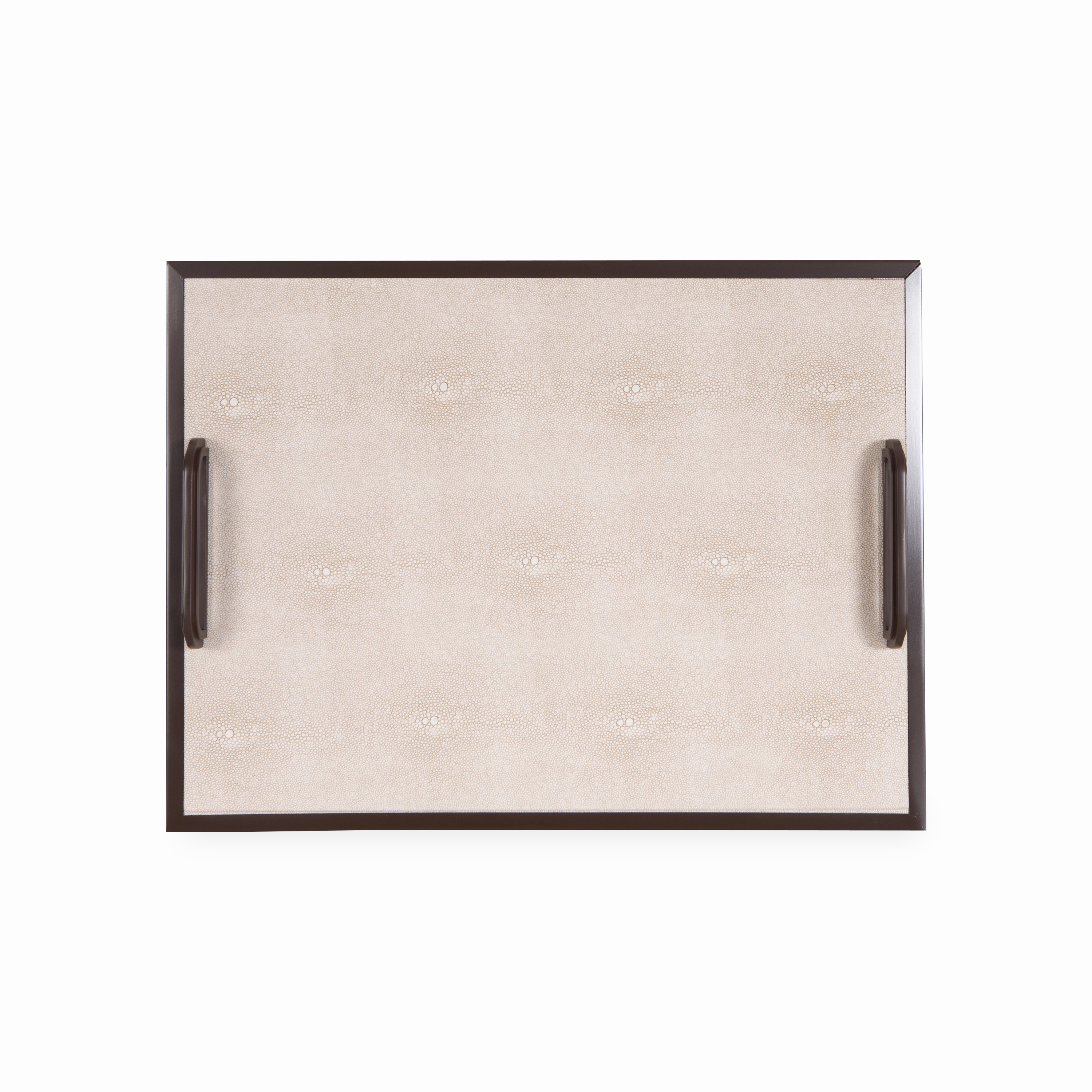 Shagreen Handle Tray