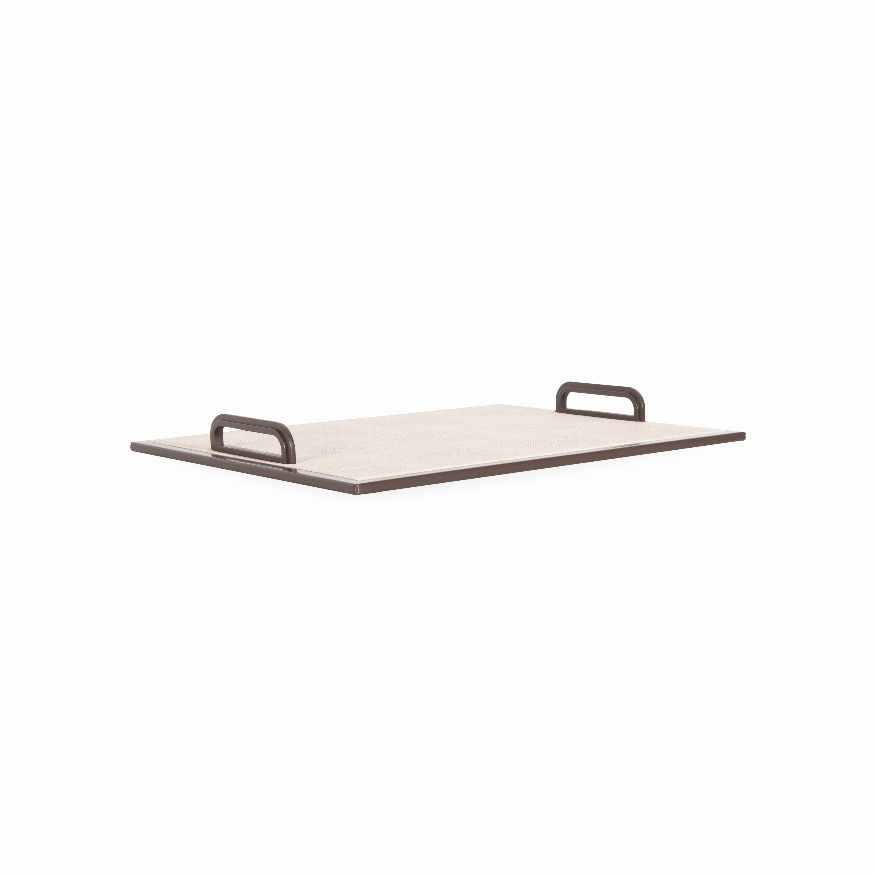 Shagreen Handle Tray