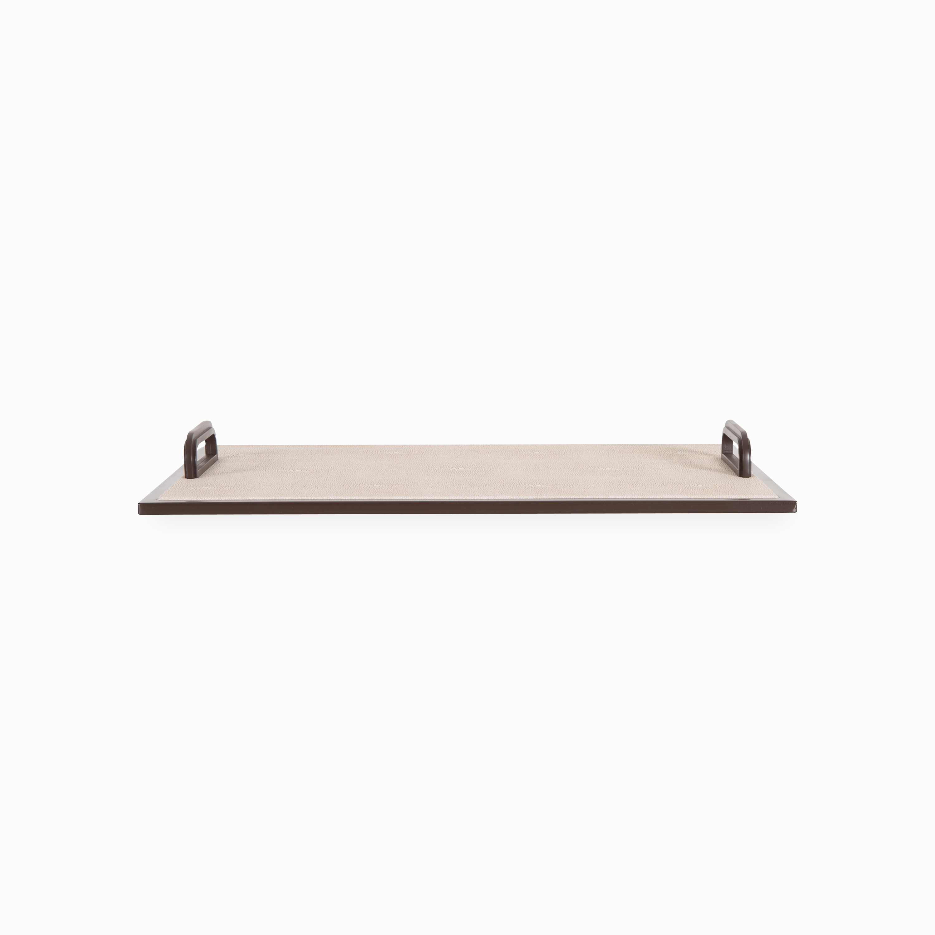 Shagreen Handle Tray elegant wall decor