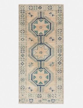 Shai Vintage Runner Rug, 4'6" x 10'3" trendy fashion rug