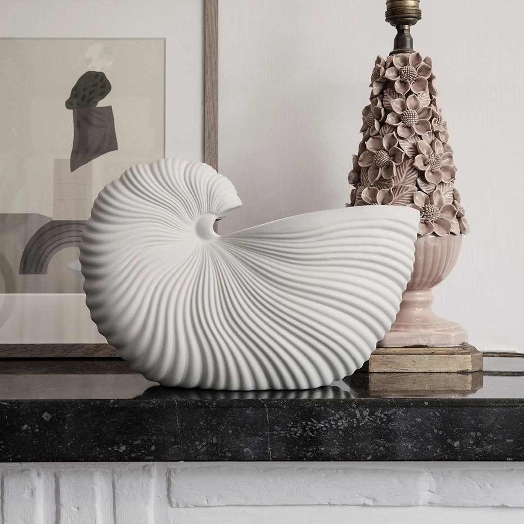 Shell Pot