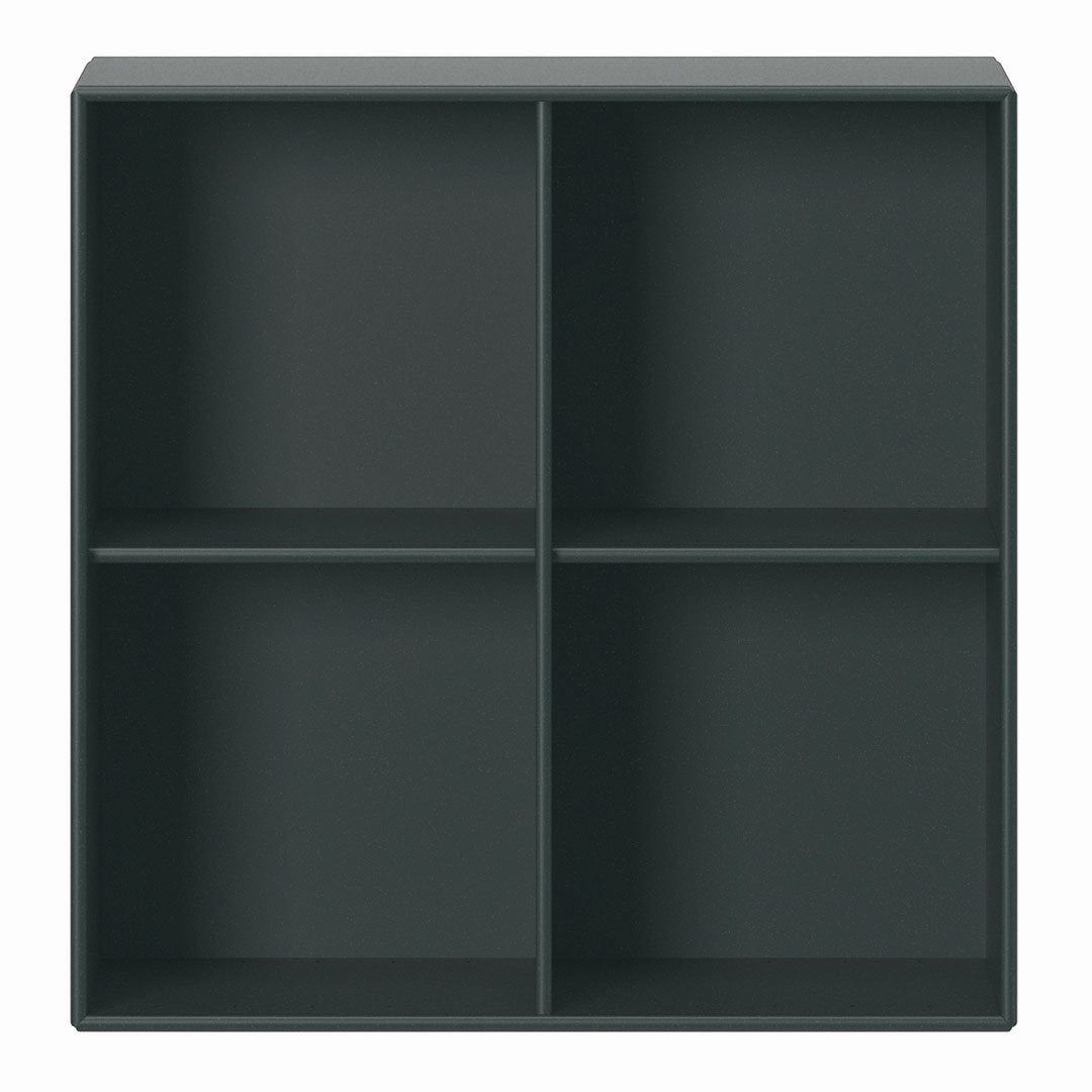 Show Wall-Mounted Module