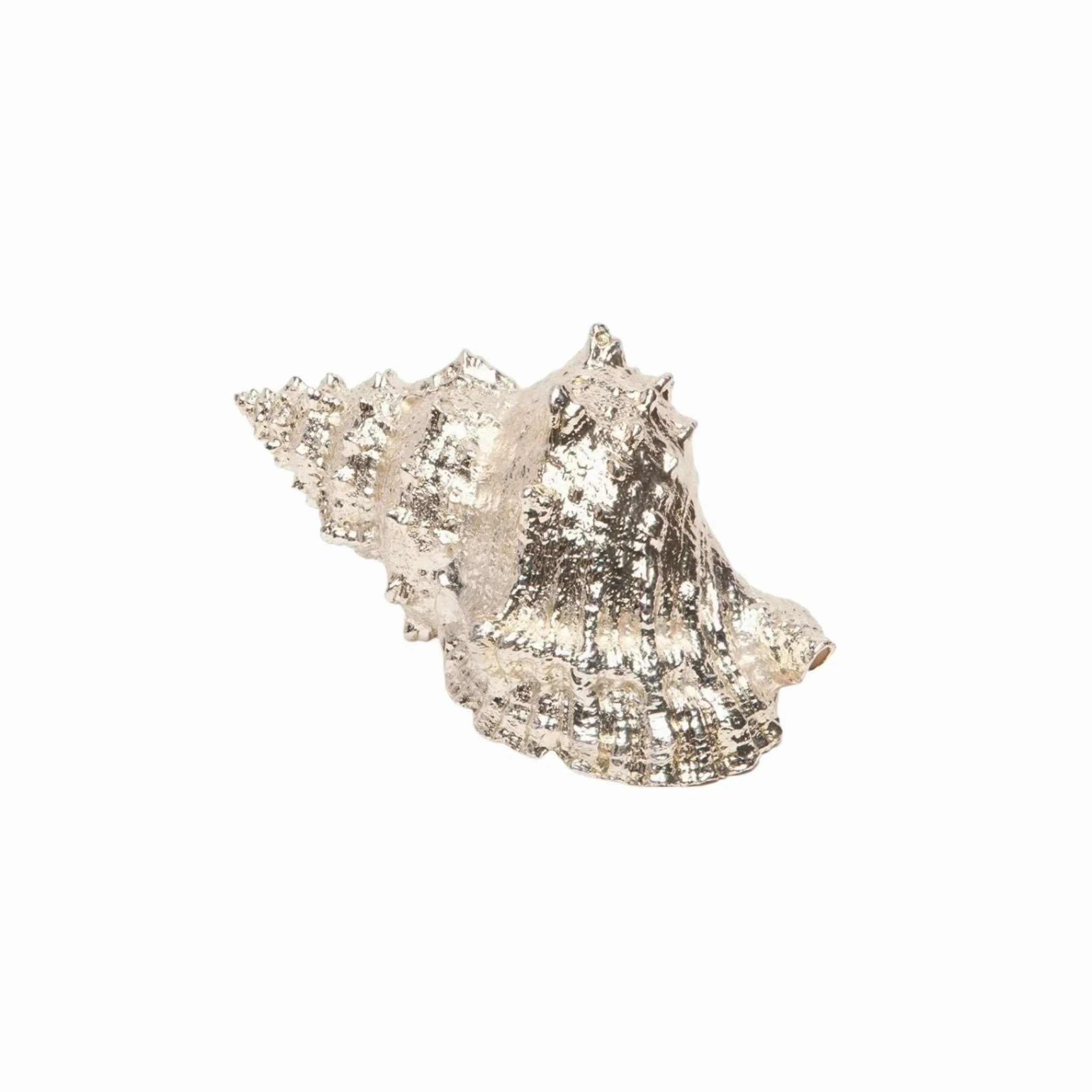 Silver Dipped Decorative Bursa Shells