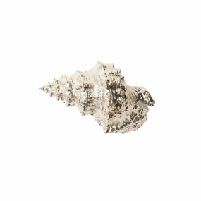 Silver Dipped Decorative Bursa Shells home display ornament