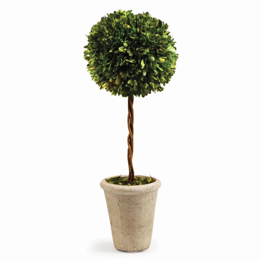 Single Sphere Boxwood Topiary home display ornament