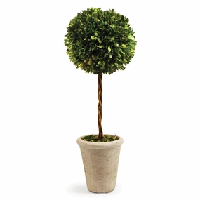 Single Sphere Boxwood Topiary home display ornament