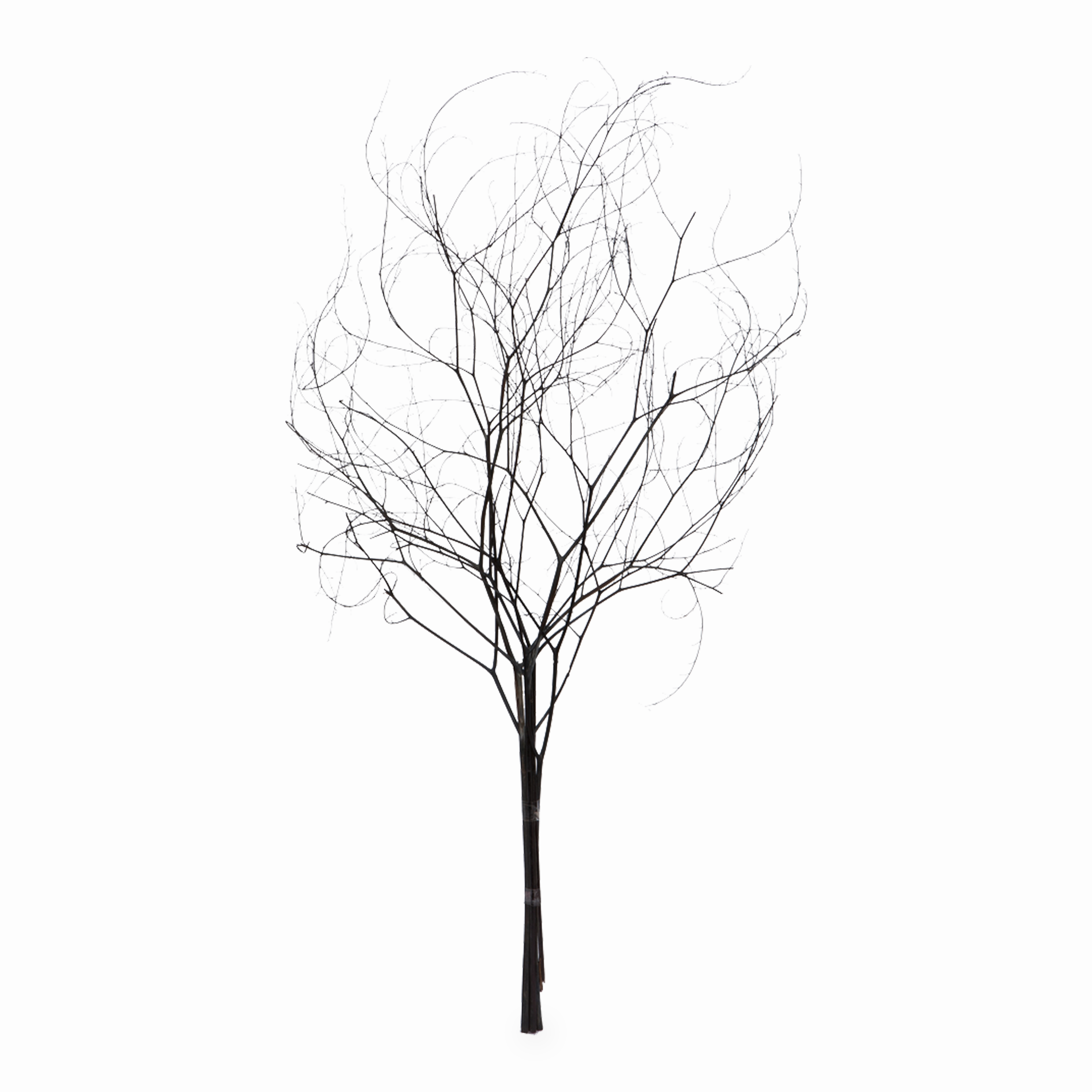 Skeleton Branch elegant wall decor