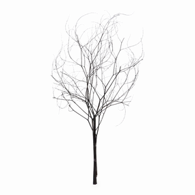 Skeleton Branch elegant wall decor