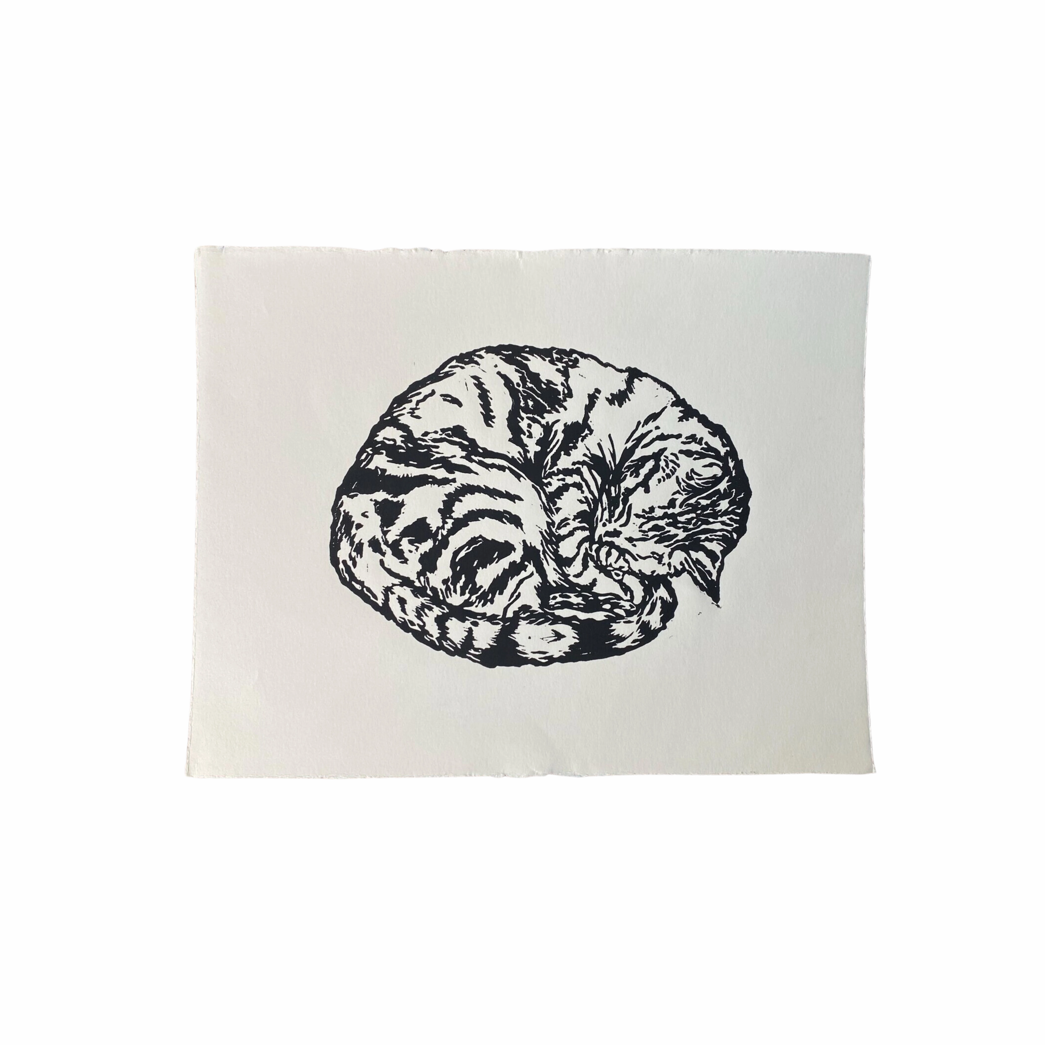 Sleeping Kitty Linocut Print framed wall decor