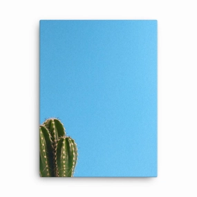 small cactus - canvas canvas mural art
