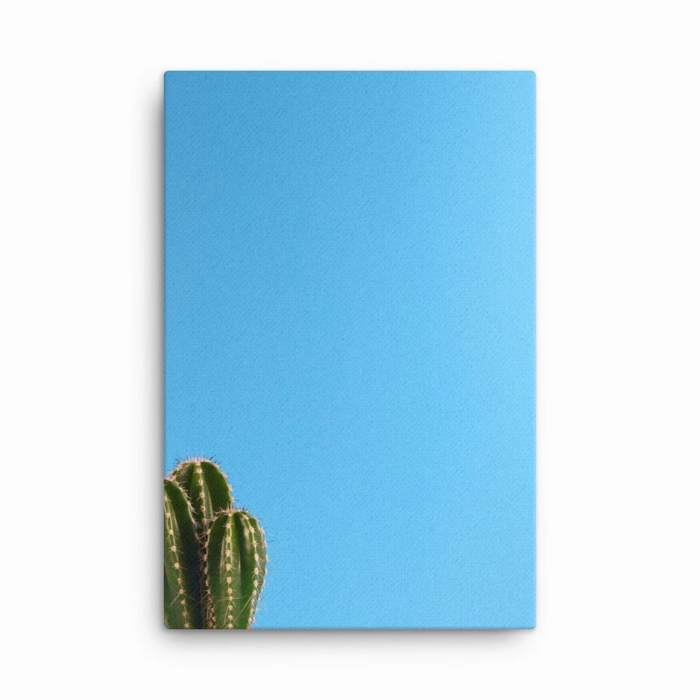 small cactus - canvas