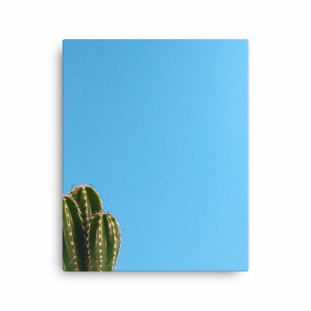 small cactus - canvas