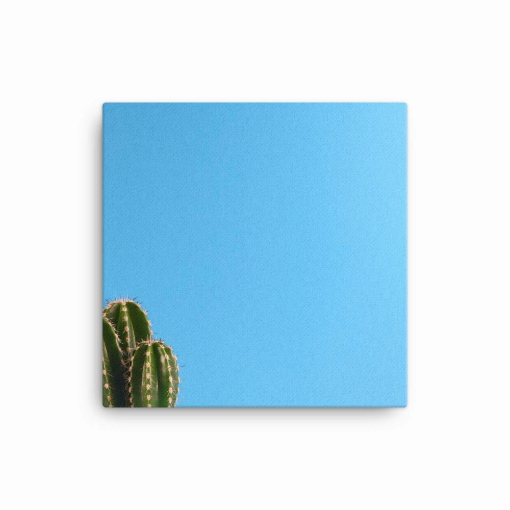 small cactus - canvas