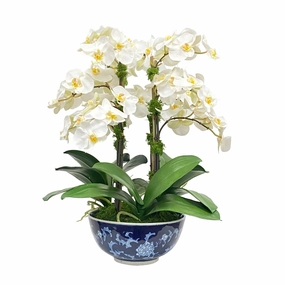 Small White Orchid in Ceramic Bowl home display ornament