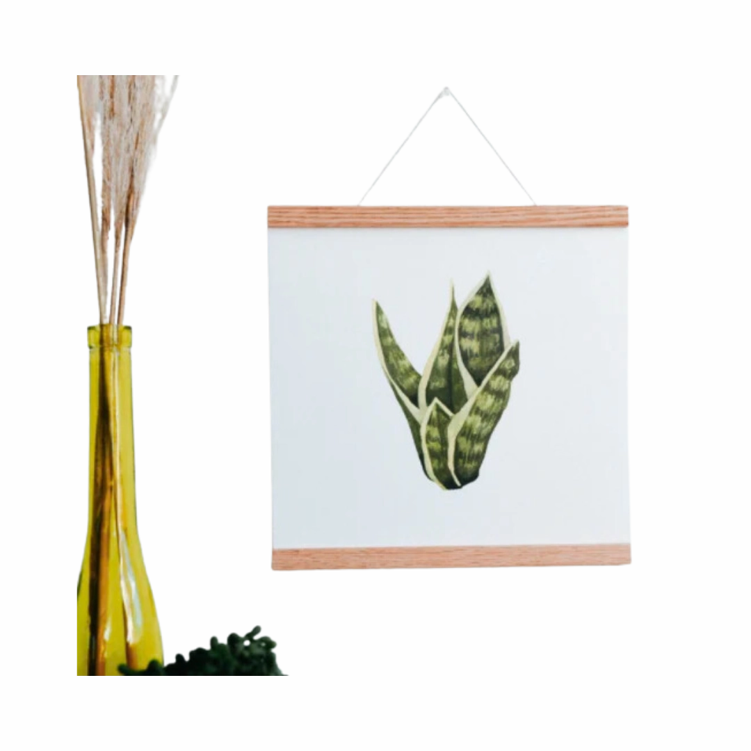 Snake Plant Art Print framed wall decor