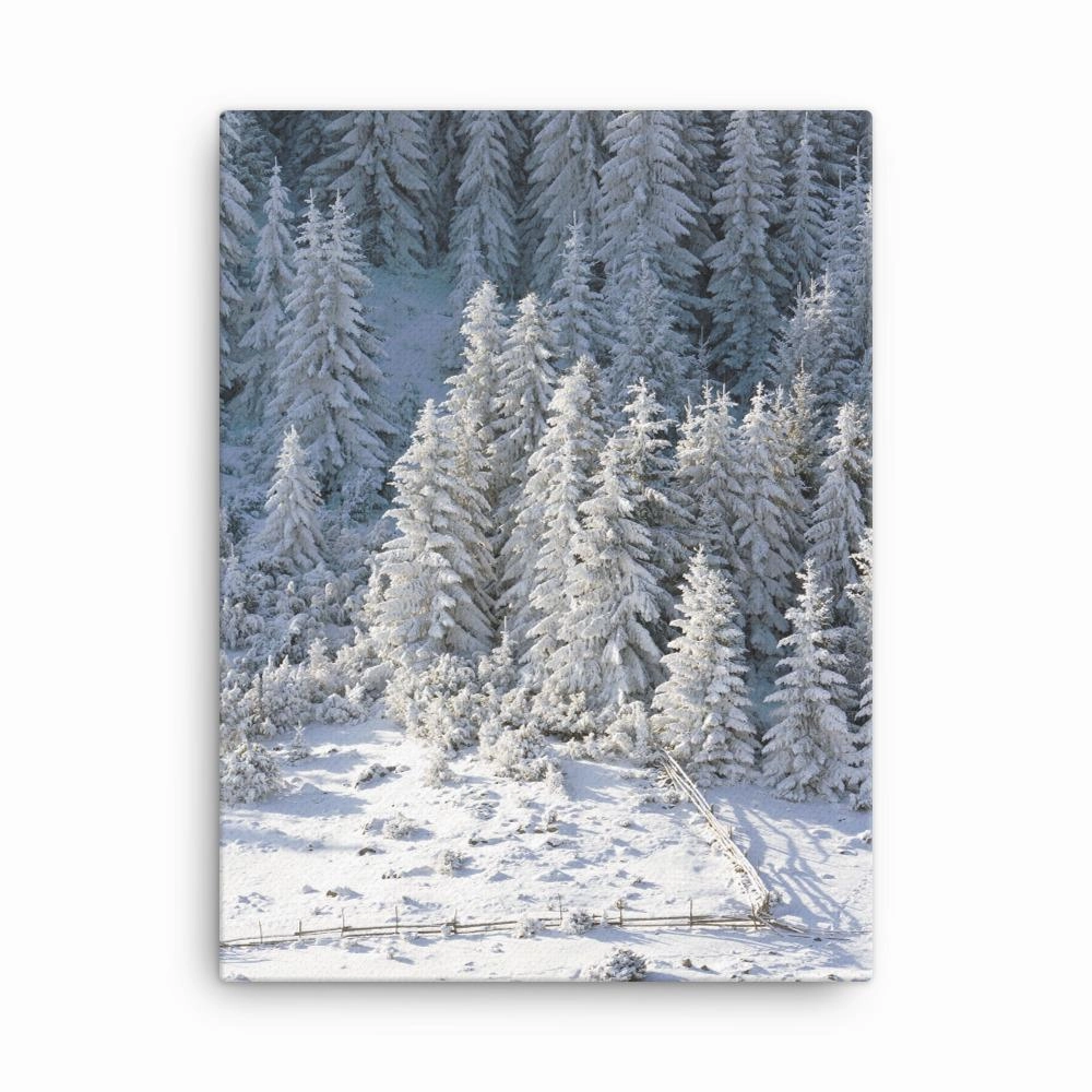 Snow Landscape 3 - Leinwand canvas mural art