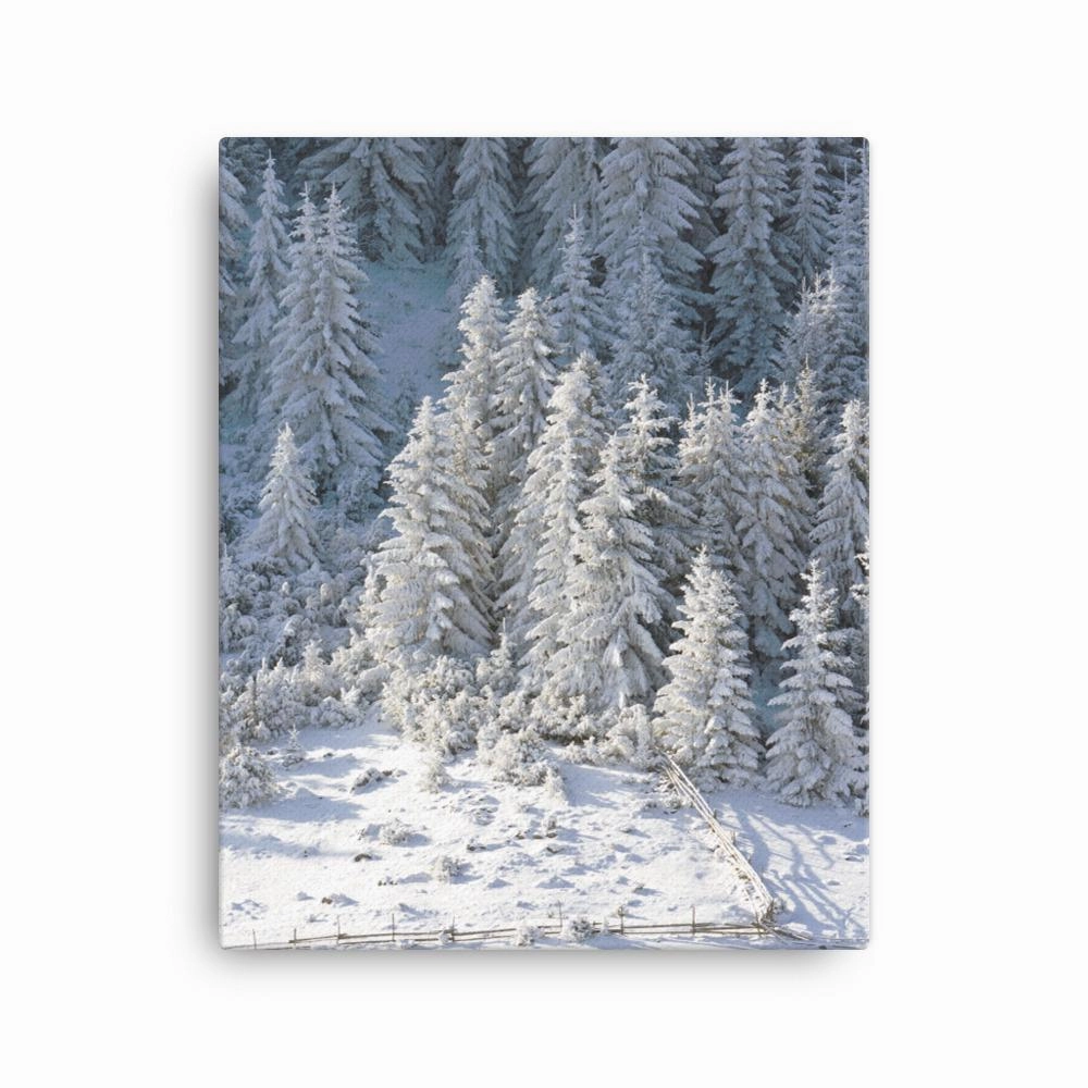 Snow Landscape 3 - Leinwand