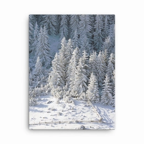 Snow Landscape 3 - Leinwand canvas mural art