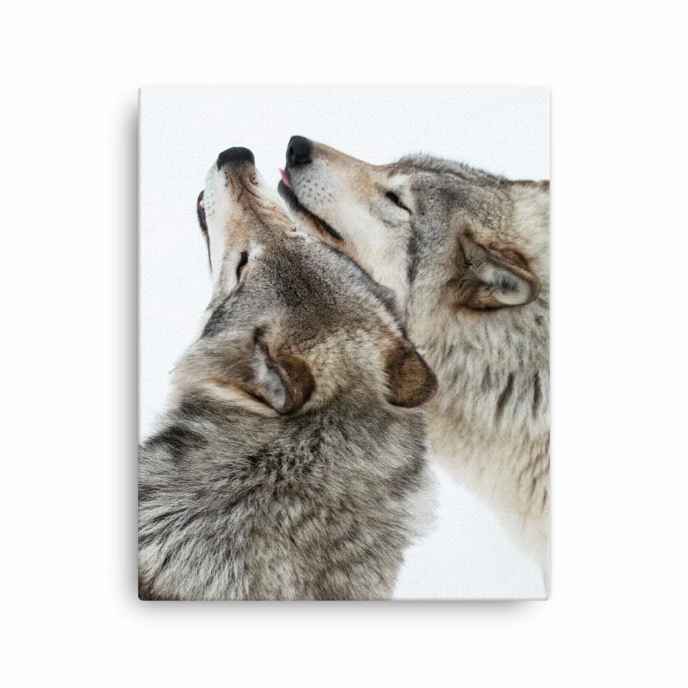 snuggling wolves - canvas