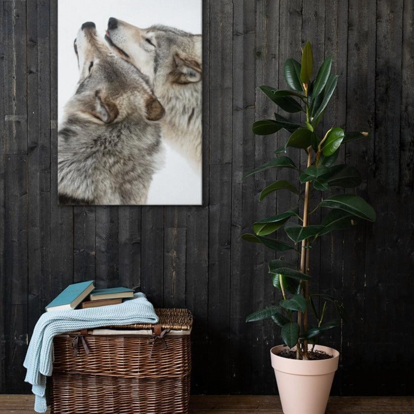 snuggling wolves - canvas