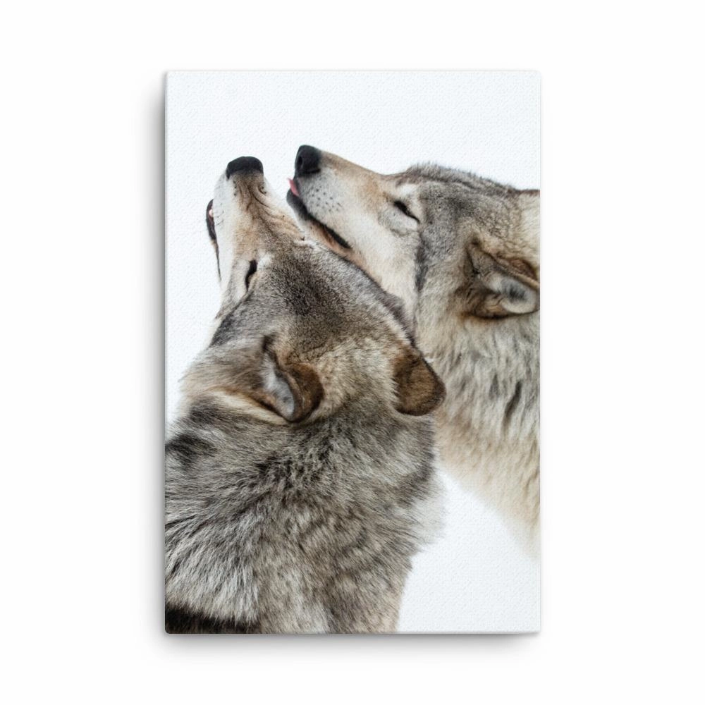snuggling wolves - canvas