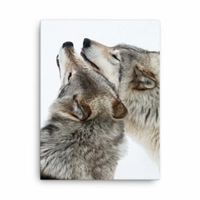 snuggling wolves - canvas canvas mural art