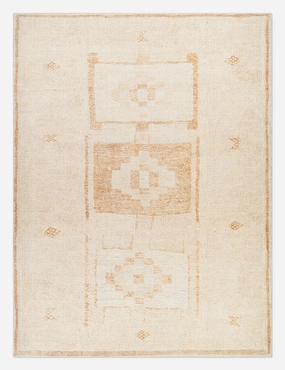 Solana I Rug by Becki Owens x Surya trendy fashion rug