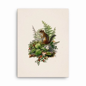 Squirrel - canvas canvas mural art