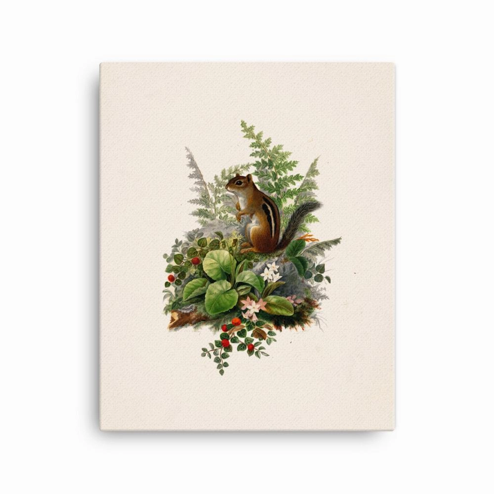 Squirrel - canvas