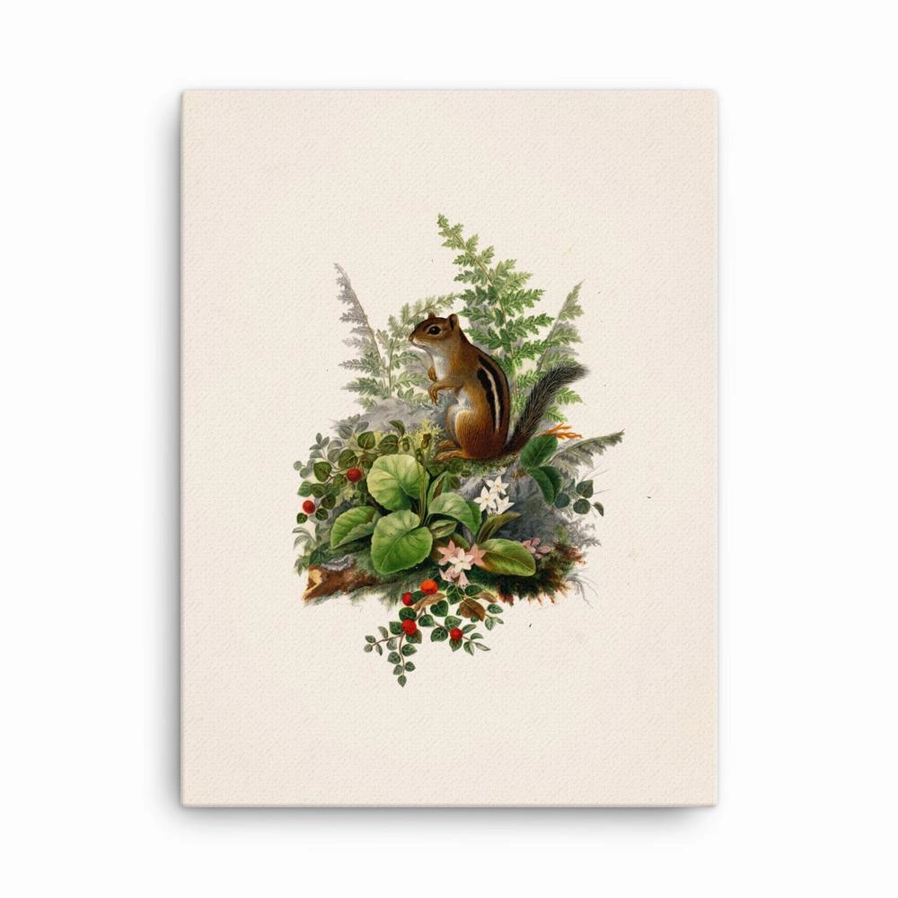 Squirrel - canvas canvas mural art