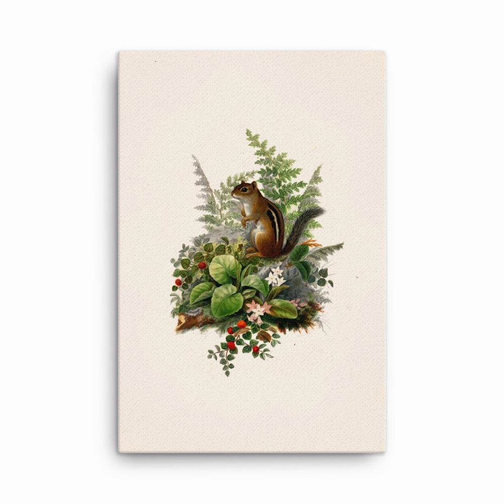 Squirrel - canvas