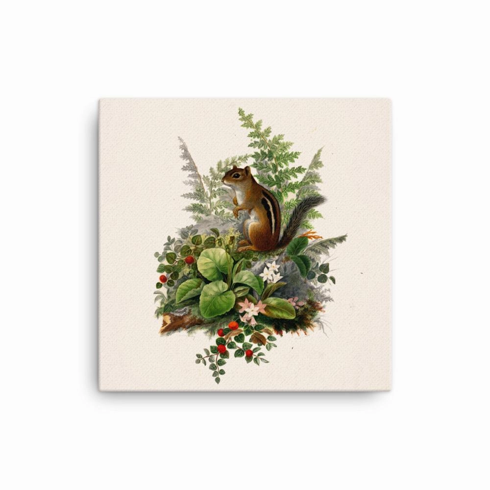 Squirrel - canvas