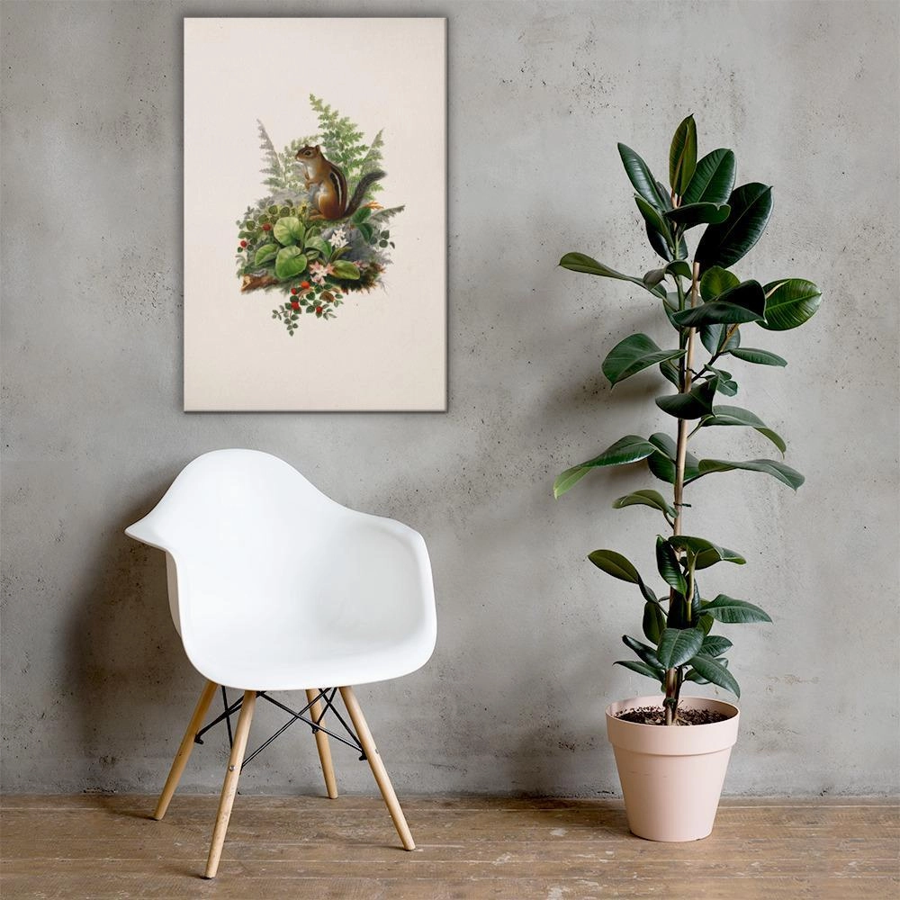 Squirrel - canvas