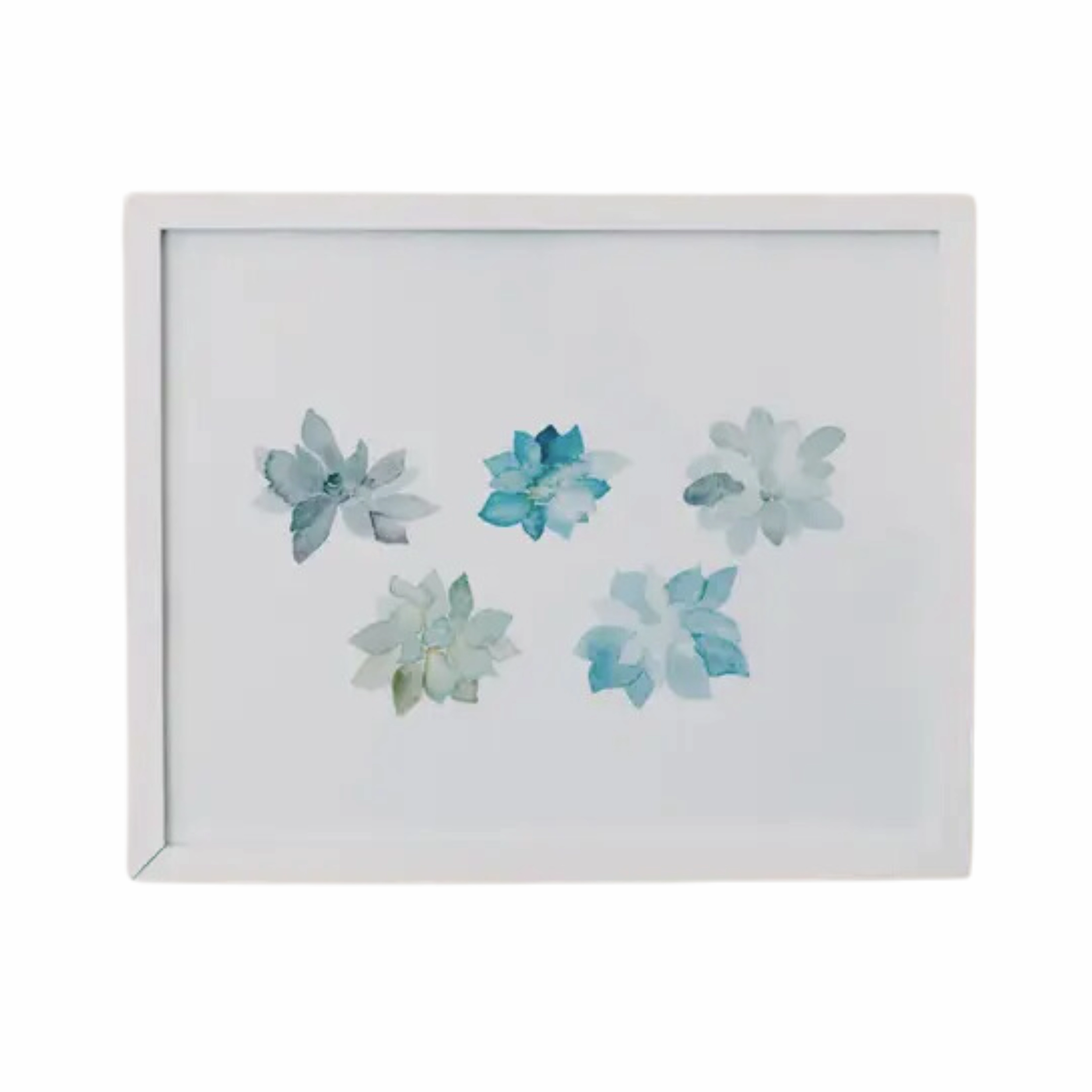 Succulents 8" x 10" Watercolor Print framed wall decor