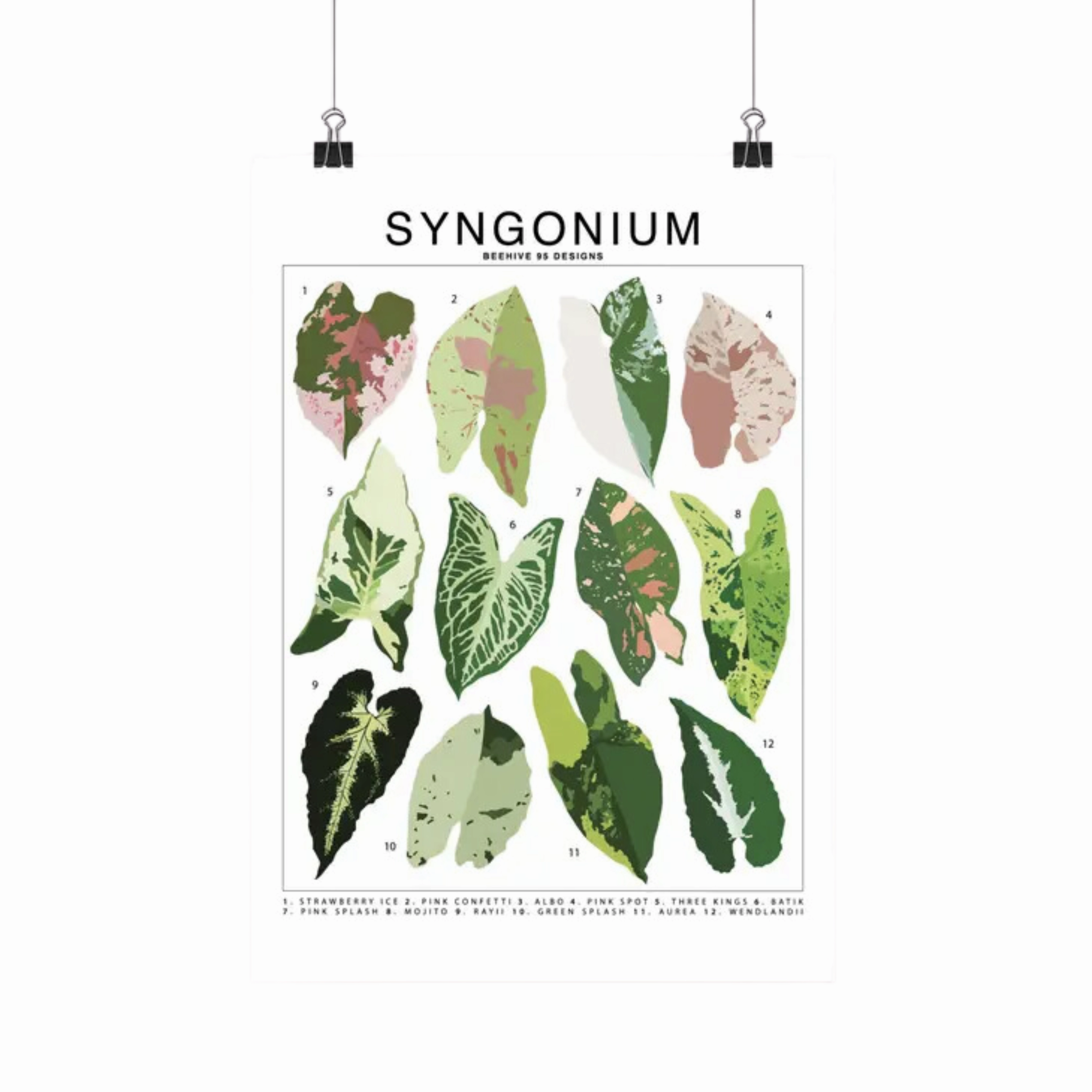 Syngonium Species Id Chart - Botanical Houseplant Art Print framed wall decor