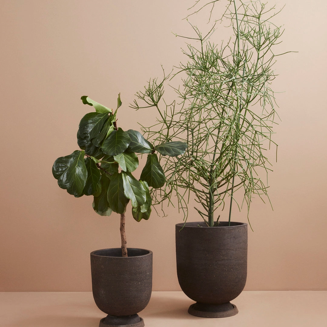 Terra Flowerpot (Order Quantity: 4)