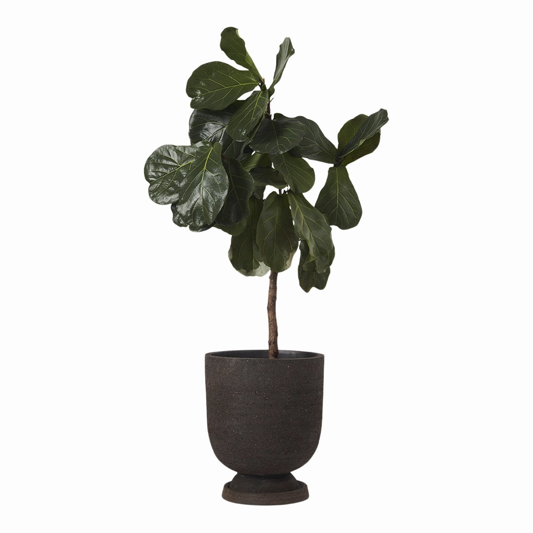Terra Flowerpot Saucer