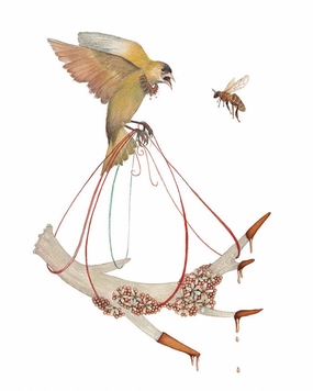 The Collector: The Honey - Art Print framed wall decor