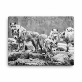 The leader of the pack - canvas canvas mural art