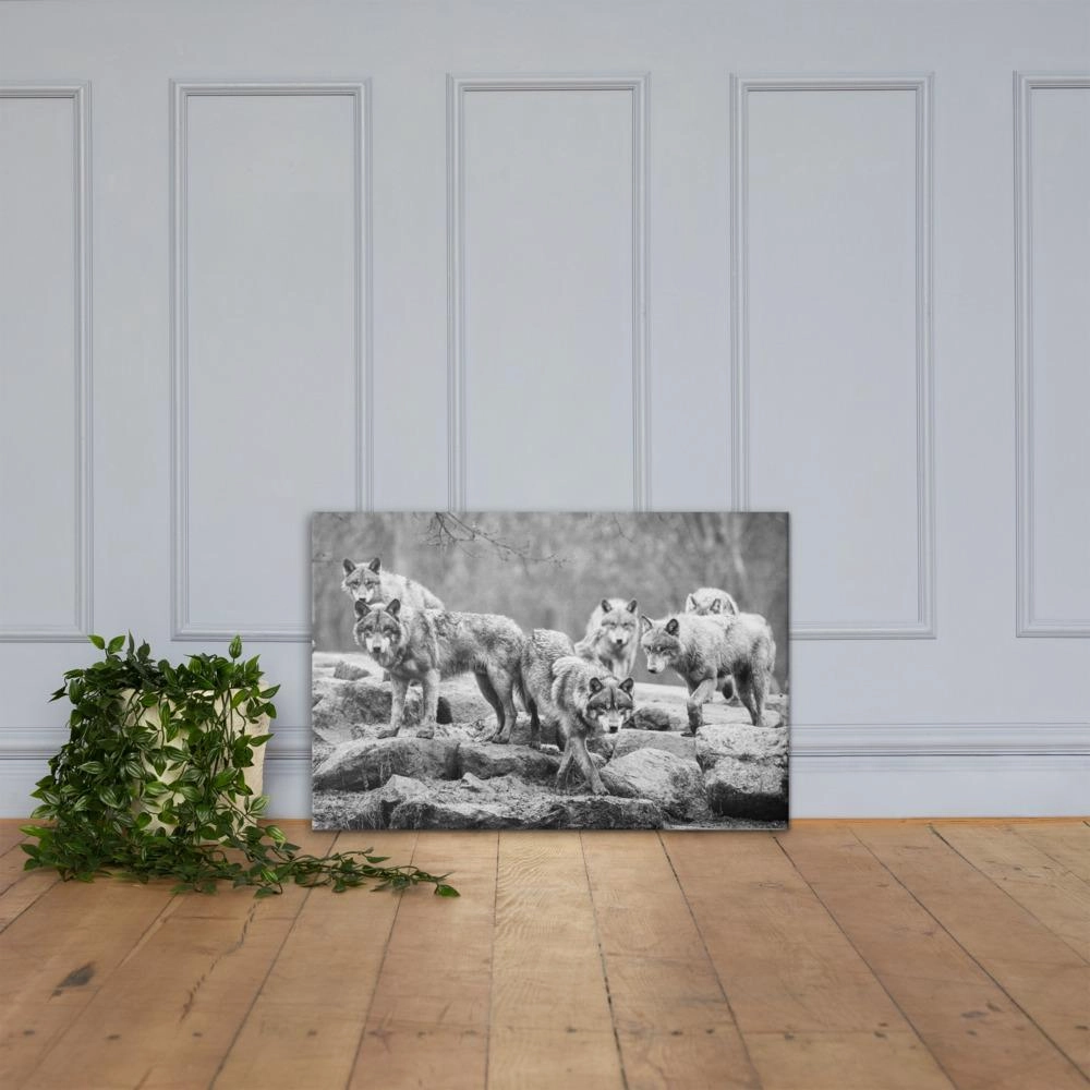 The leader of the pack - canvas