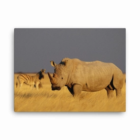 The Rhino - canvas canvas mural art