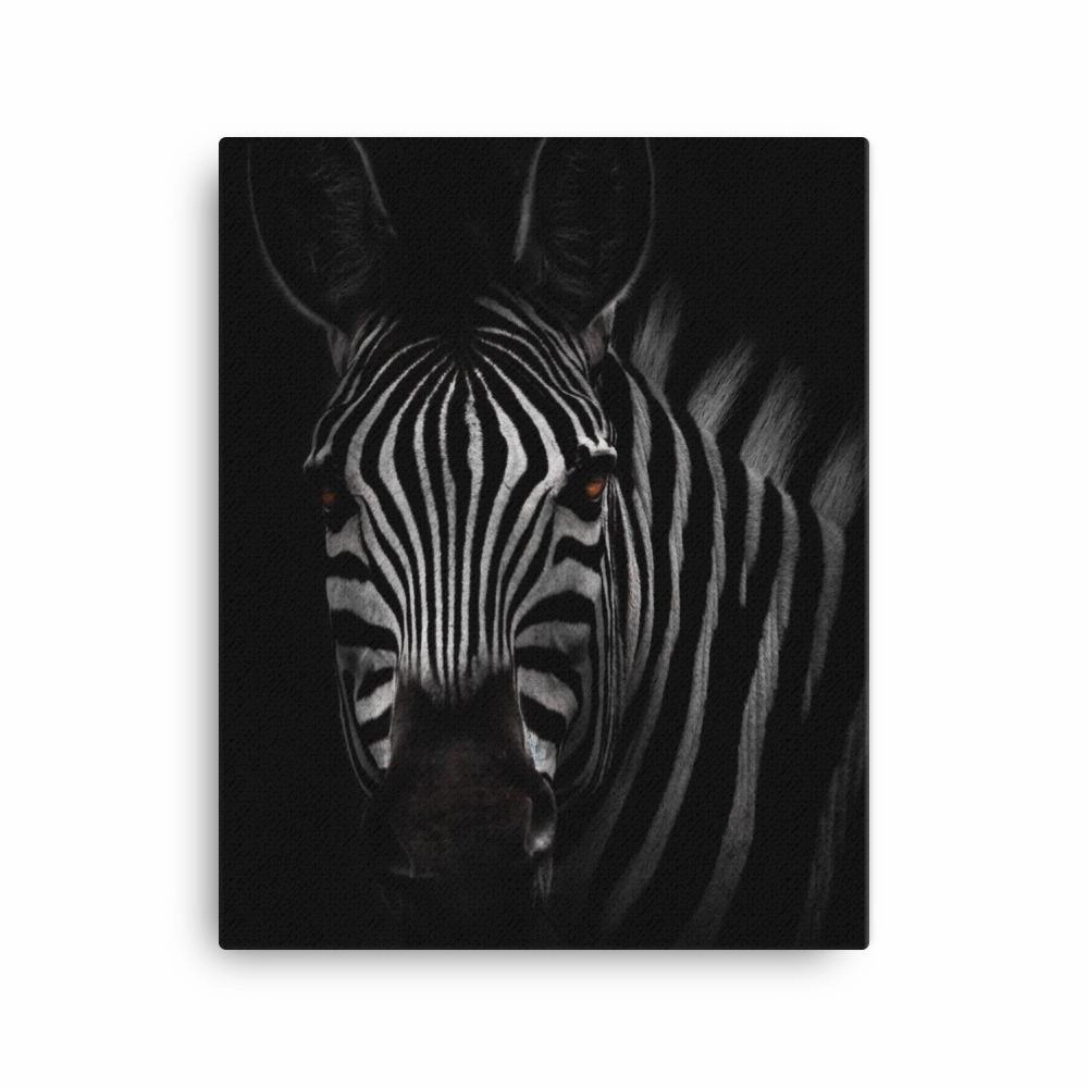 the stare of the zebra - canvas