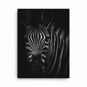the stare of the zebra - canvas canvas mural art