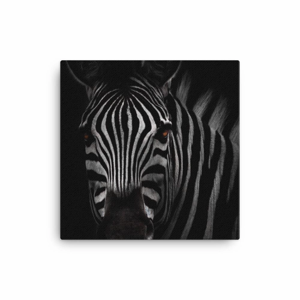 the stare of the zebra - canvas